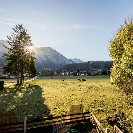 Schulerhof Apartman *